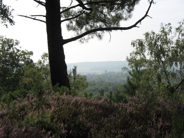 2007 08 Bois de Rochefort 19